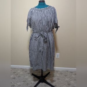 Terra & Sky-Plus 20W Gingham Dress